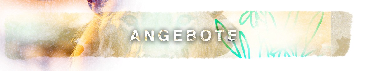 Angebote Angebote