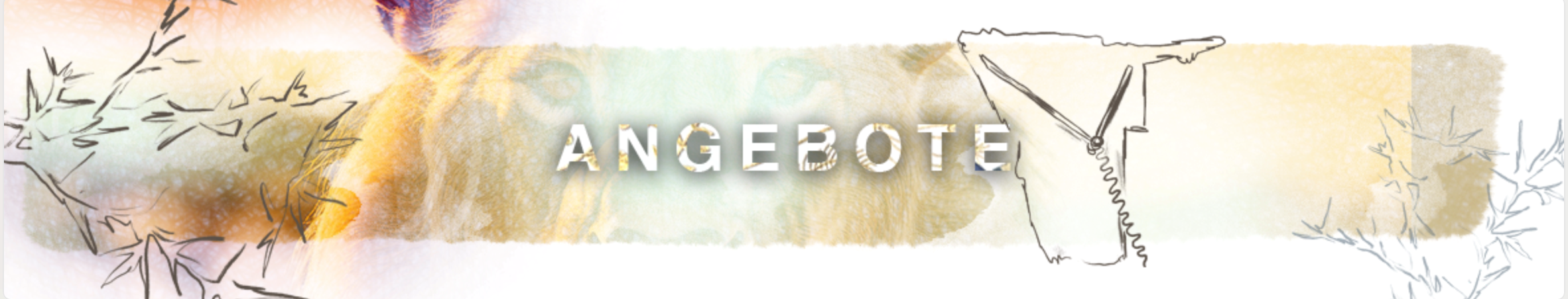 Angebote
