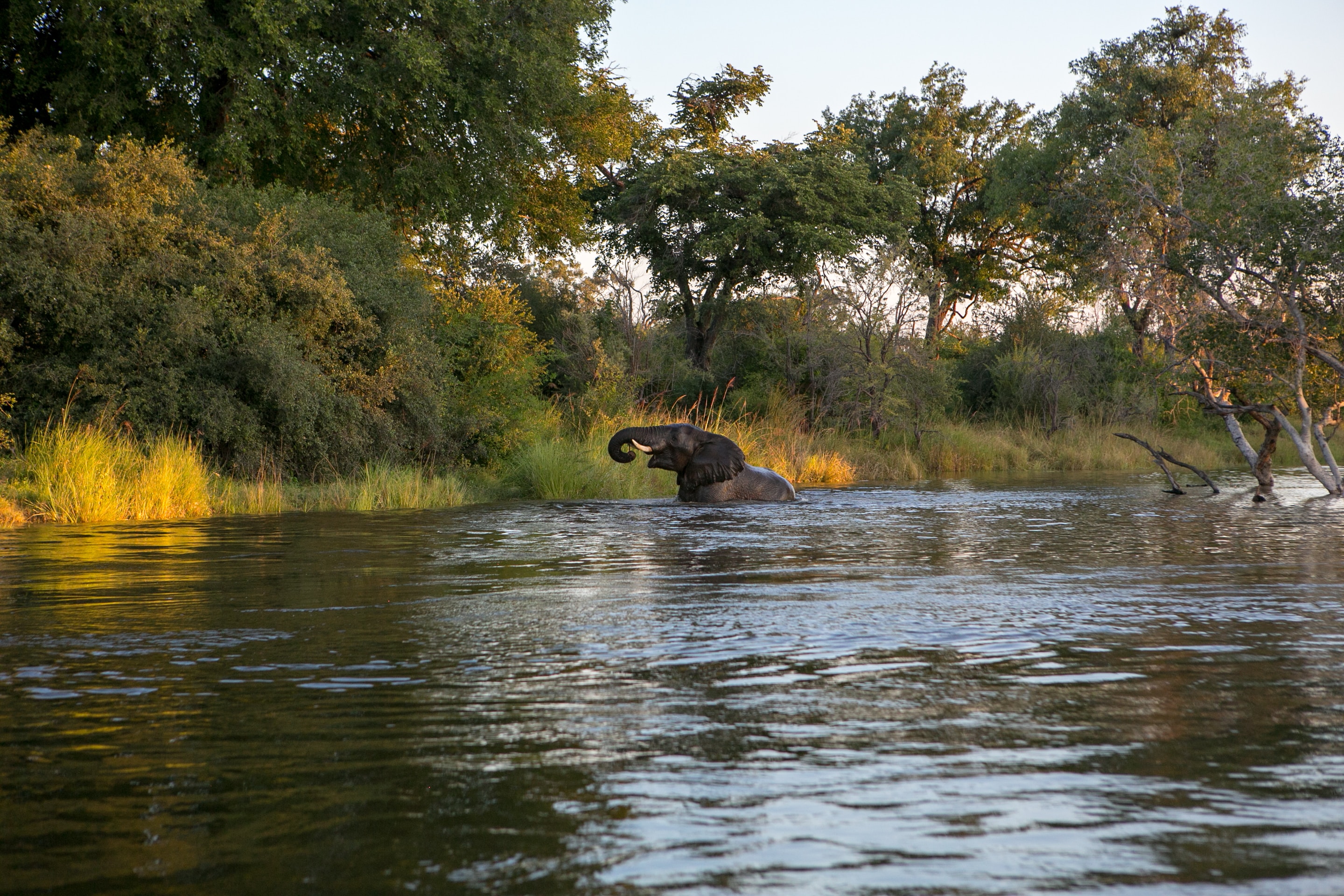 Der Caprivi Streifen in Namibia