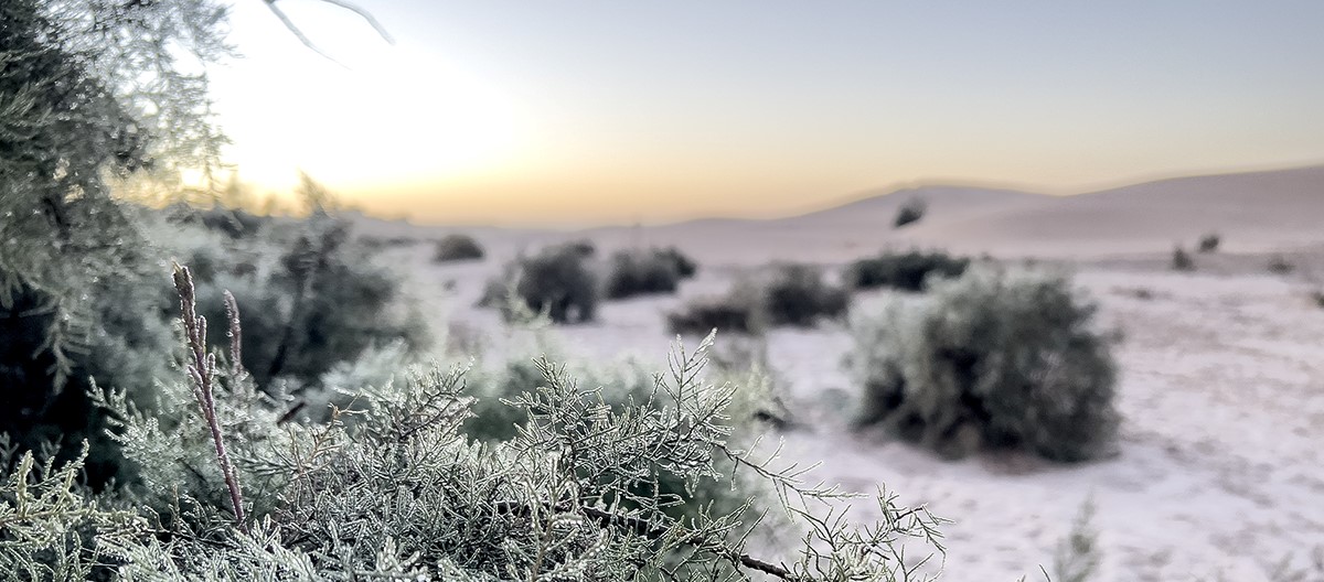 Der Zauber des Winters in Namibia